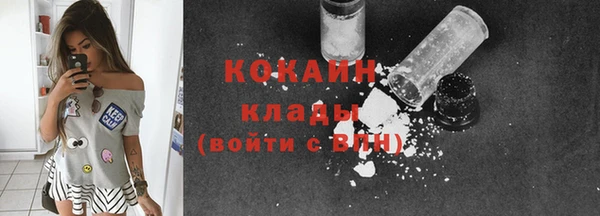 гидра Белоозёрский