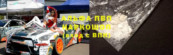 a pvp Богданович
